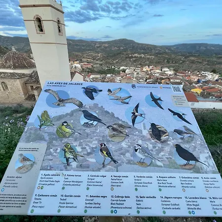 Duplex Terra - Casillas Valle De Ayora شقة Jalance
